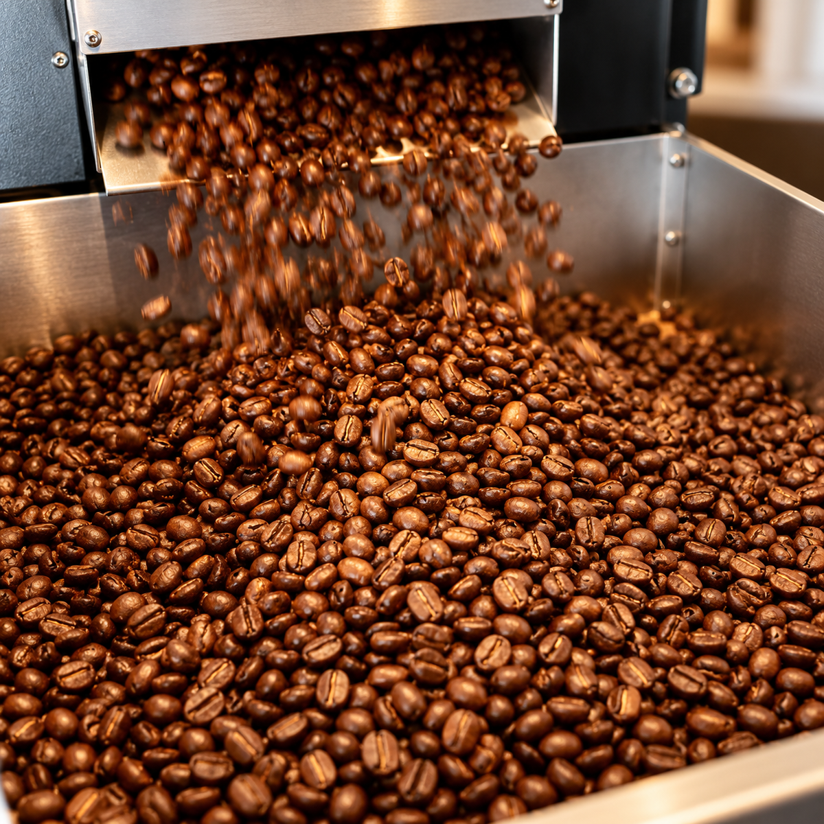 Freshly roasted coffee beans at Cuban Cracker Coffee Co. in Hendersonville, Tennessee